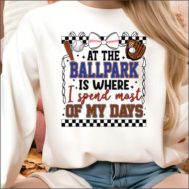 At the Ballpark DTF Transfer