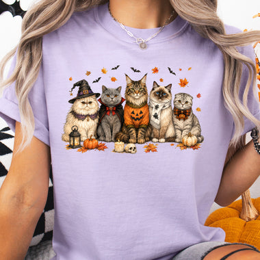 Halloween Cats DTF Transfer DTF Heat Press Transfer from Sweet Tee Transfers