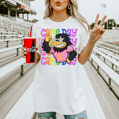 Hawkeyes School Mascot DTF Transfer – Game Day DTF Heat Press Transfer from Sweet Tee Transfers