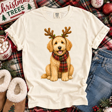 Christmas Dog Goldendoodle DTF Transfer DTF Heat Press Transfer from Sweet Tee Transfers
