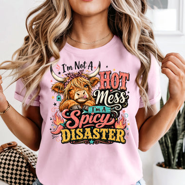 I'm Not a Hot Mess I'm a Spicy Disaster DTF Transfer DTF Heat Press Transfer from Sweet Tee Transfers
