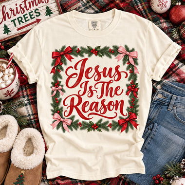 Jesus Is the Reason Christmas DTF Transfer DTF Heat Press Transfer from Sweet Tee Transfers