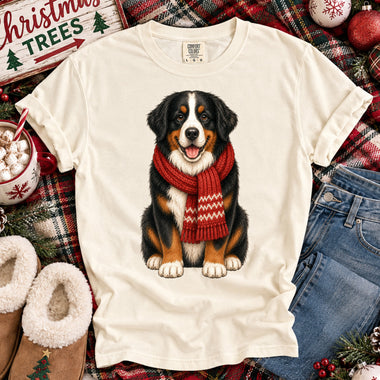 Christmas Dog Bernese Mountain Dog DTF Transfer DTF Heat Press Transfer from Sweet Tee Transfers