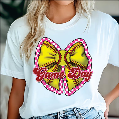 Game Day Softball Check Background