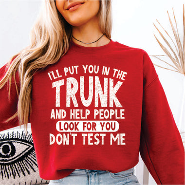 I Will Put You in the Truck and Help People Look for You