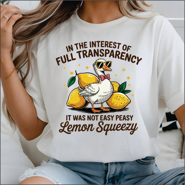 In the Interest of Full Transparency DTF Transfer