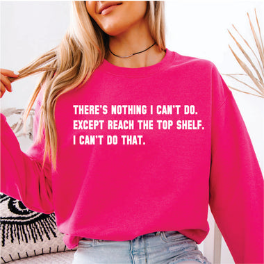 There's Nothing I cant do Except Reach the Top Shelf