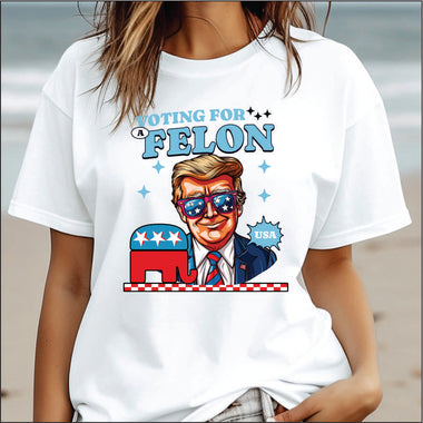 Voting for a Felon DTF Transfer