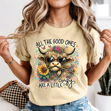 All The Good Ones Are A Little Crazy DTF Transfer