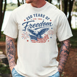 250 Years of Freedom with Eagle and Flag DTF Transfer