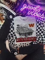 Team Stadiums DTF Transfer