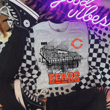 Team Stadiums DTF Transfer