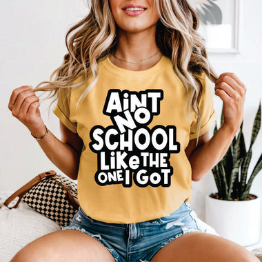 Ain't no School Like the one I Got