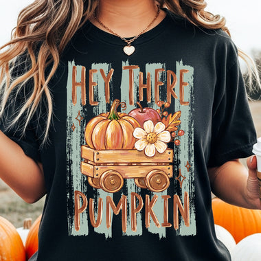 Hey There Pumpkin DTF Transfer DTF Heat Press Transfer from Sweet Tee Transfers