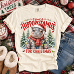 I Want a Hippopotamus for Christmas DTF Transfer DTF Heat Press Transfer from Sweet Tee Transfers