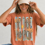 Hey There Pumpkin Striped DTF Transfer DTF Heat Press Transfer from Sweet Tee Transfers