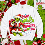 How the Grinch Stole Santa's Ho Ho Ho's DTF Transfer DTF Heat Press Transfer from Sweet Tee Transfers