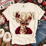Glam Reindeer Sleigh DTF Transfer DTF Heat Press Transfer from Sweet Tee Transfers