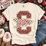 Retro Christmas Pennant Vintage Leopard DTF Transfer DTF Heat Press Transfer from Sweet Tee Transfers