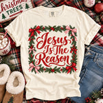 Jesus Is the Reason Christmas DTF Transfer DTF Heat Press Transfer from Sweet Tee Transfers
