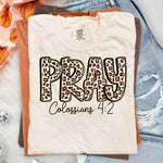 Pray Leopard Colossians 4:2 DTF Transfer DTF Heat Press Transfer from Sweet Tee Transfers