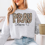 Pray Leopard Colossians 4:2 DTF Transfer DTF Heat Press Transfer from Sweet Tee Transfers