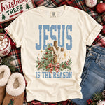 Jesus Is the Reason Christmas DTF Transfer DTF Heat Press Transfer from Sweet Tee Transfers