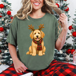 Christmas Dog Goldendoodle DTF Transfer DTF Heat Press Transfer from Sweet Tee Transfers
