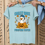 Coolest Goose at the Pumpkin Patch DTF Transfer DTF Heat Press Transfer from Sweet Tee Transfers