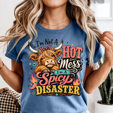 I'm Not a Hot Mess I'm a Spicy Disaster DTF Transfer DTF Heat Press Transfer from Sweet Tee Transfers