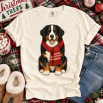 Christmas Dog Bernese Mountain Dog DTF Transfer DTF Heat Press Transfer from Sweet Tee Transfers