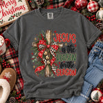 Jesus Is the Reason for the Season Christmas DTF Transfer DTF Heat Press Transfer from Sweet Tee Transfers