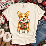 Christmas Dog Corgi DTF Transfer DTF Heat Press Transfer from Sweet Tee Transfers