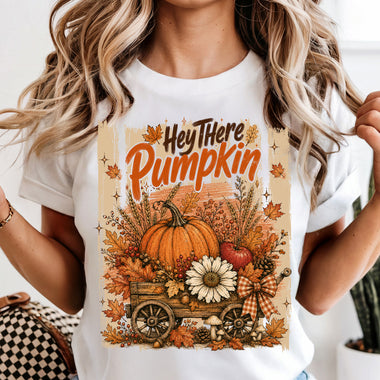 Hey There Pumpkin in Wagon DTF Transfer DTF Heat Press Transfer from Sweet Tee Transfers