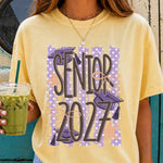 Senior 2027 Striped DTF Transfer DTF Heat Press Transfer from Sweet Tee Transfers