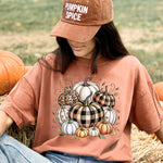 Fall Pumpkins DTF Transfer DTF Heat Press Transfer from Sweet Tee Transfers