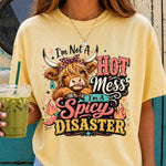 I'm Not a Hot Mess I'm a Spicy Disaster DTF Transfer DTF Heat Press Transfer from Sweet Tee Transfers