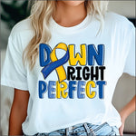 Down Right Perfect DTF Transfer