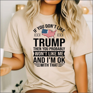 If You Don't Like Trump You Probably Wont Like Me DTF Transfer