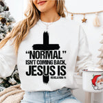 Normal Isn't Coming Back Jesus Is