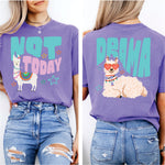 Not Today Drama Llama 2 part