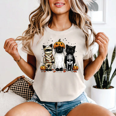 Kitties in Costumes